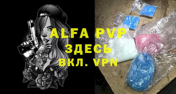 шишки Алзамай