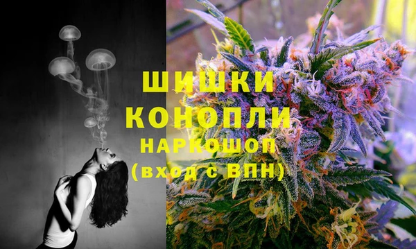 шишки Алзамай